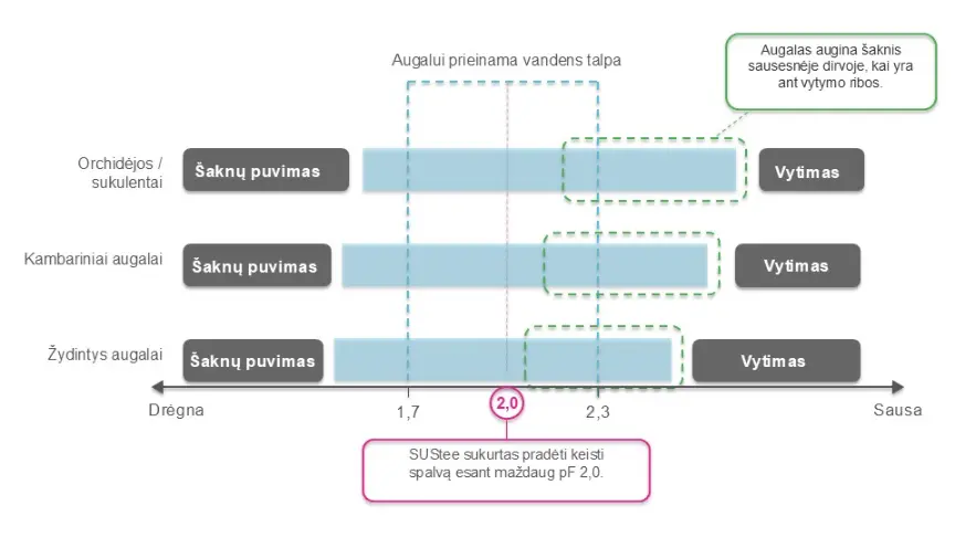 Sustee dregmes matuoklio veikimo schema